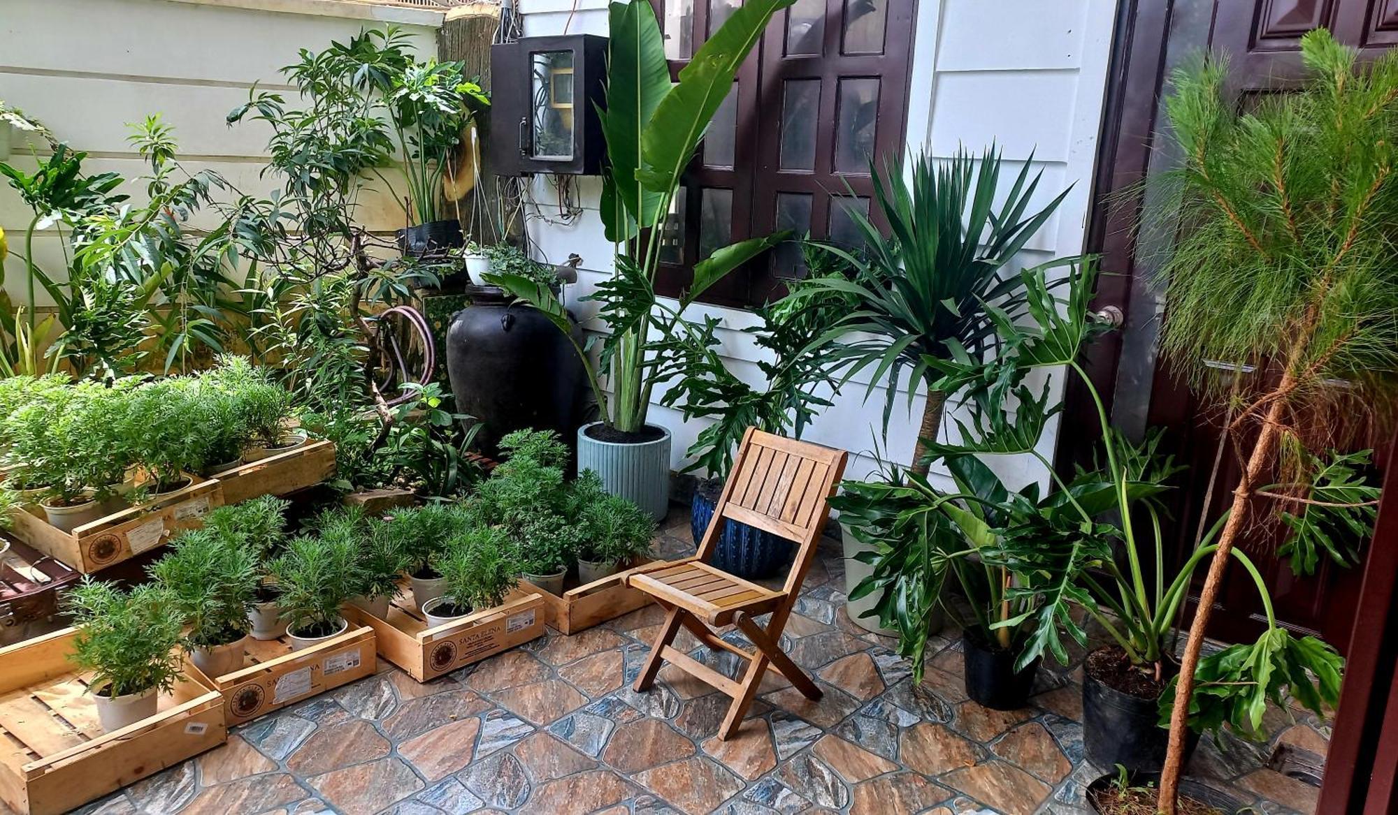 Wasabi House - Homestay Ben Cho Da Lat Exterior photo